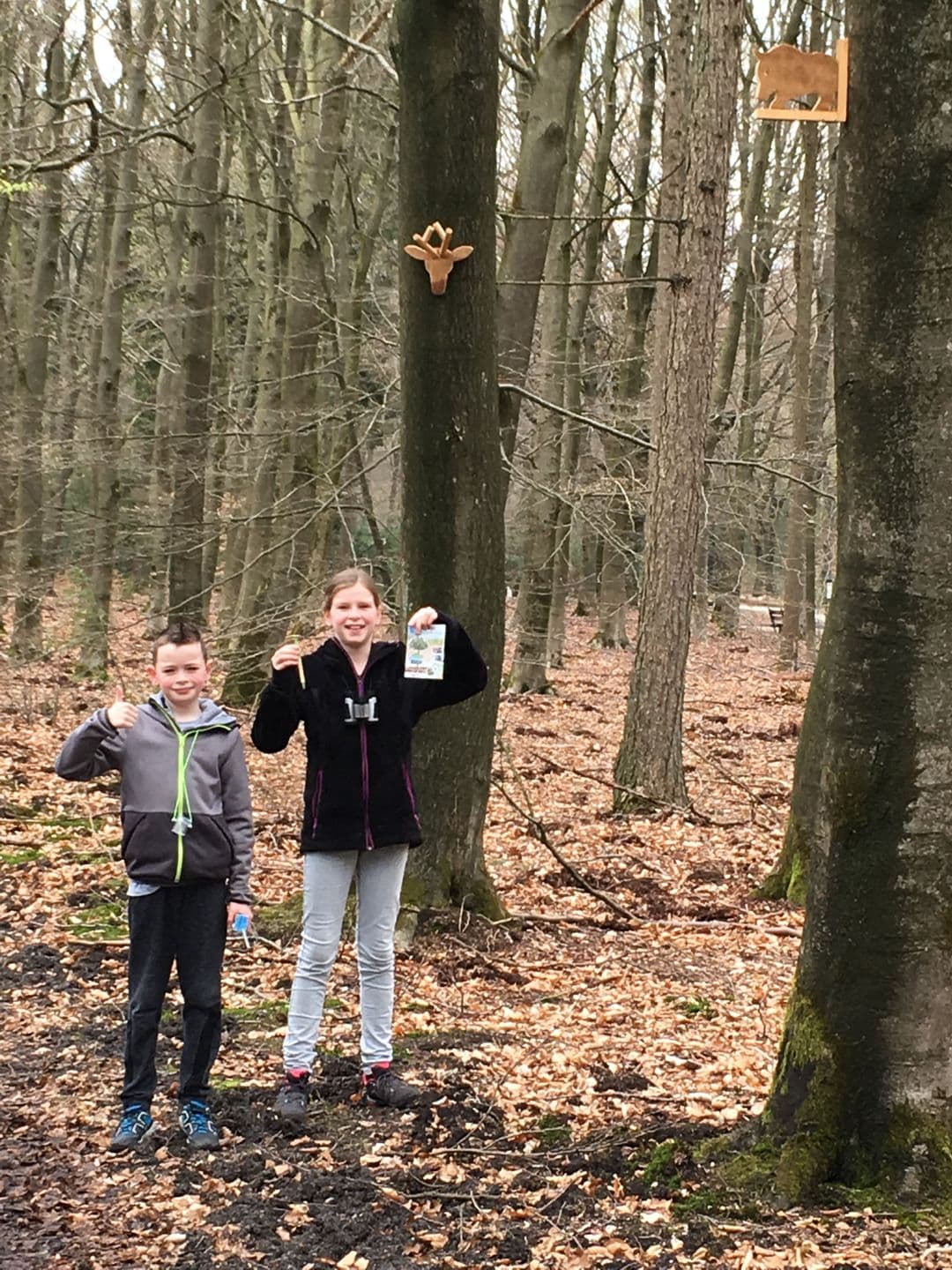Kinder belevingspad hertenroute foto 0