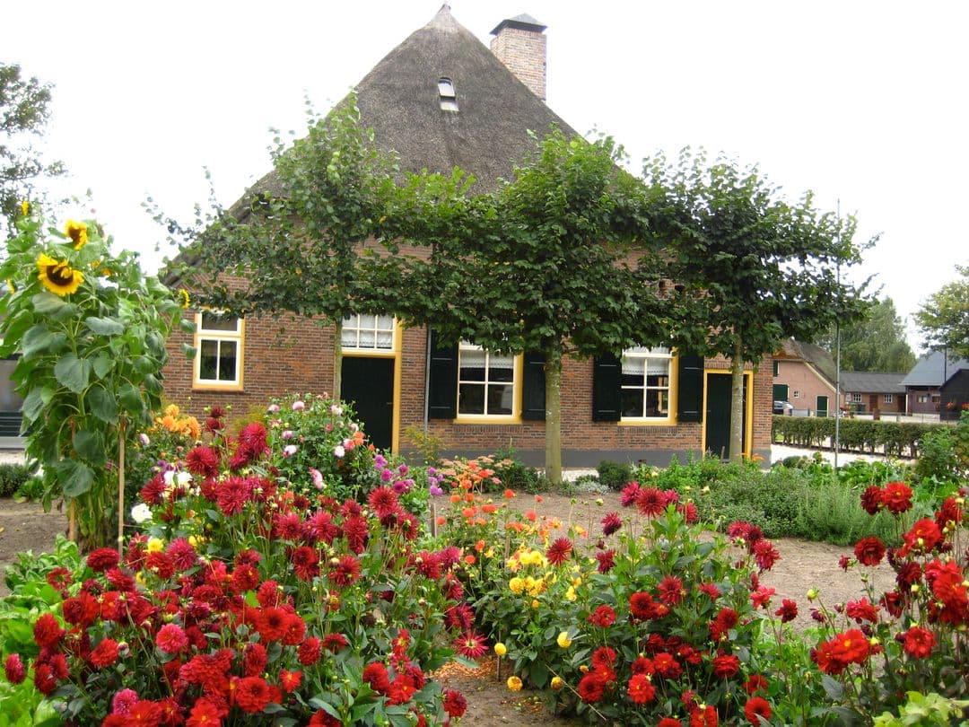 Kunst en Cultuurroute gemeente Epe foto 1