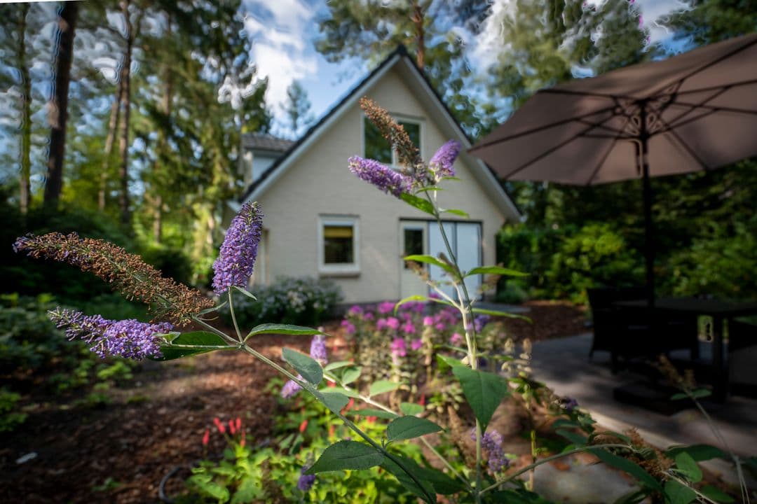 't Puttertje foto 0
