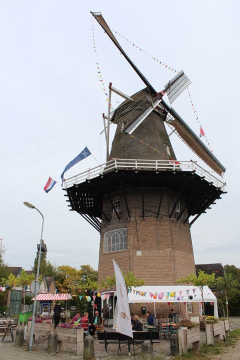 Daams' molen